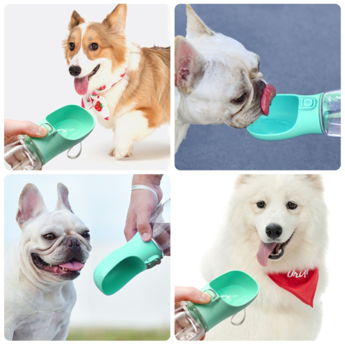 Botella de agua para mascotas con cordón para colgar
